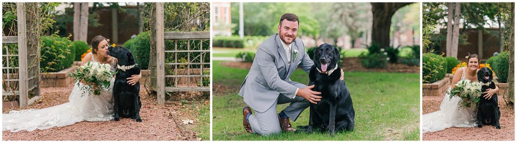 bride and groom with their black lab dog 